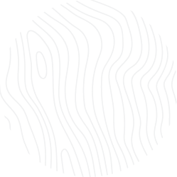 creationsinfotech.com